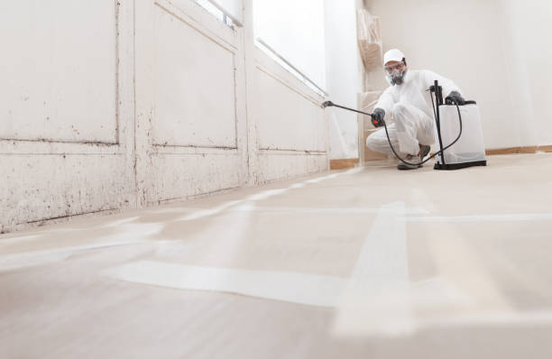 24/7 Emergency Attic Mold Remediation experts in Liberty Hill, TX