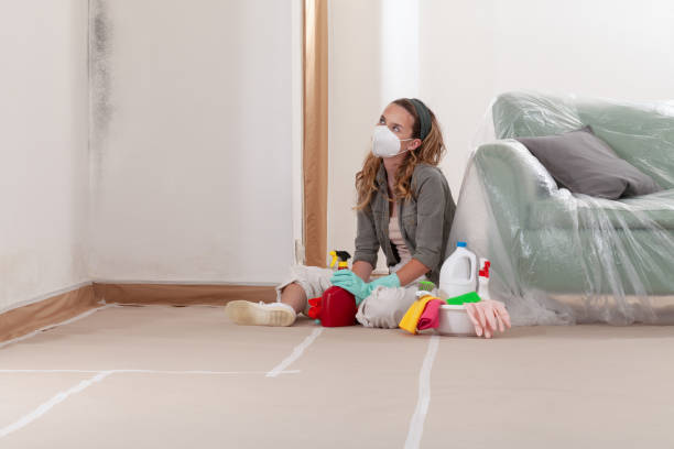 Reliable Attic Mold Remediation contractor in Liberty Hill, TX by Car Mold Remediation