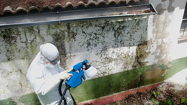 Top rated local Attic Mold Remediation specialists in Liberty Hill, TX